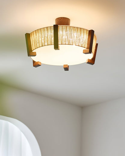 Euluna Ceiling Light