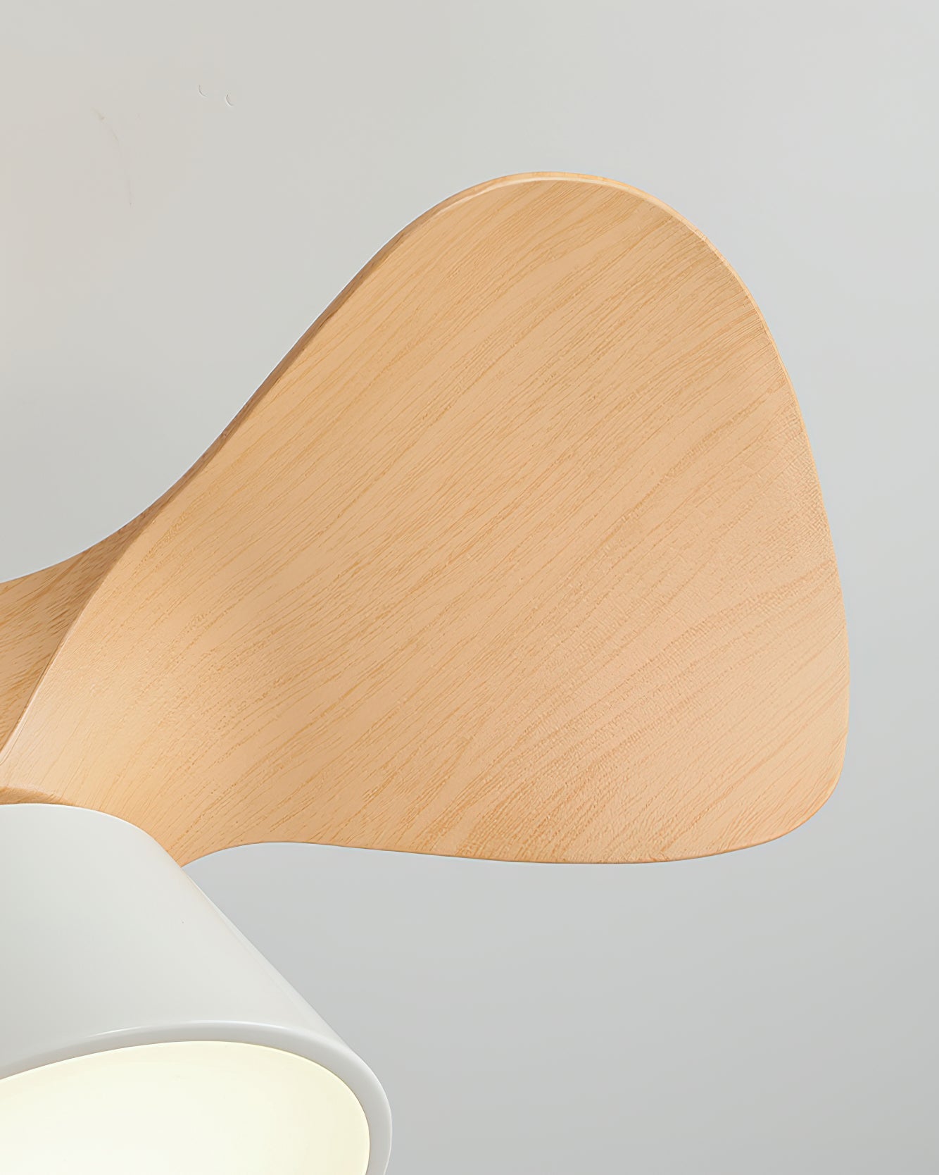 Fetcoi Ceiling Fan Light