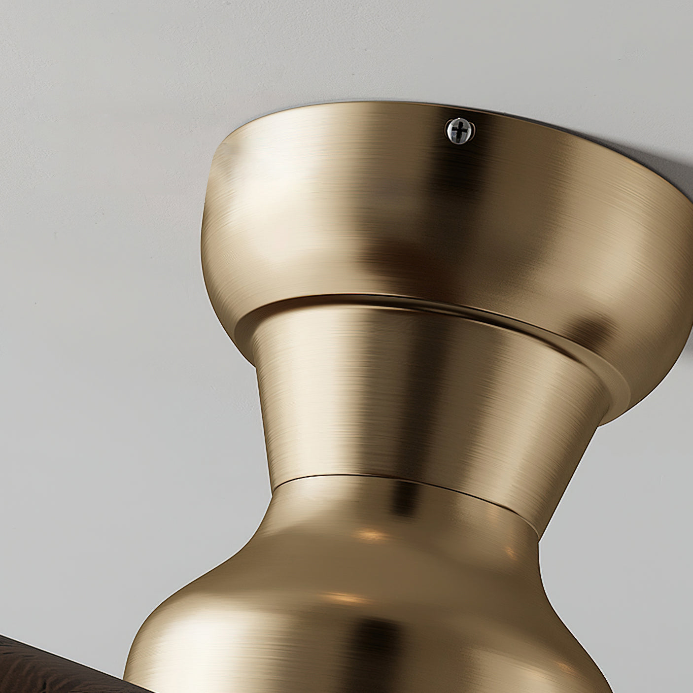 Haiku Ceiling Fan Light