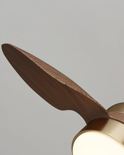 Haiku Ceiling Fan Light