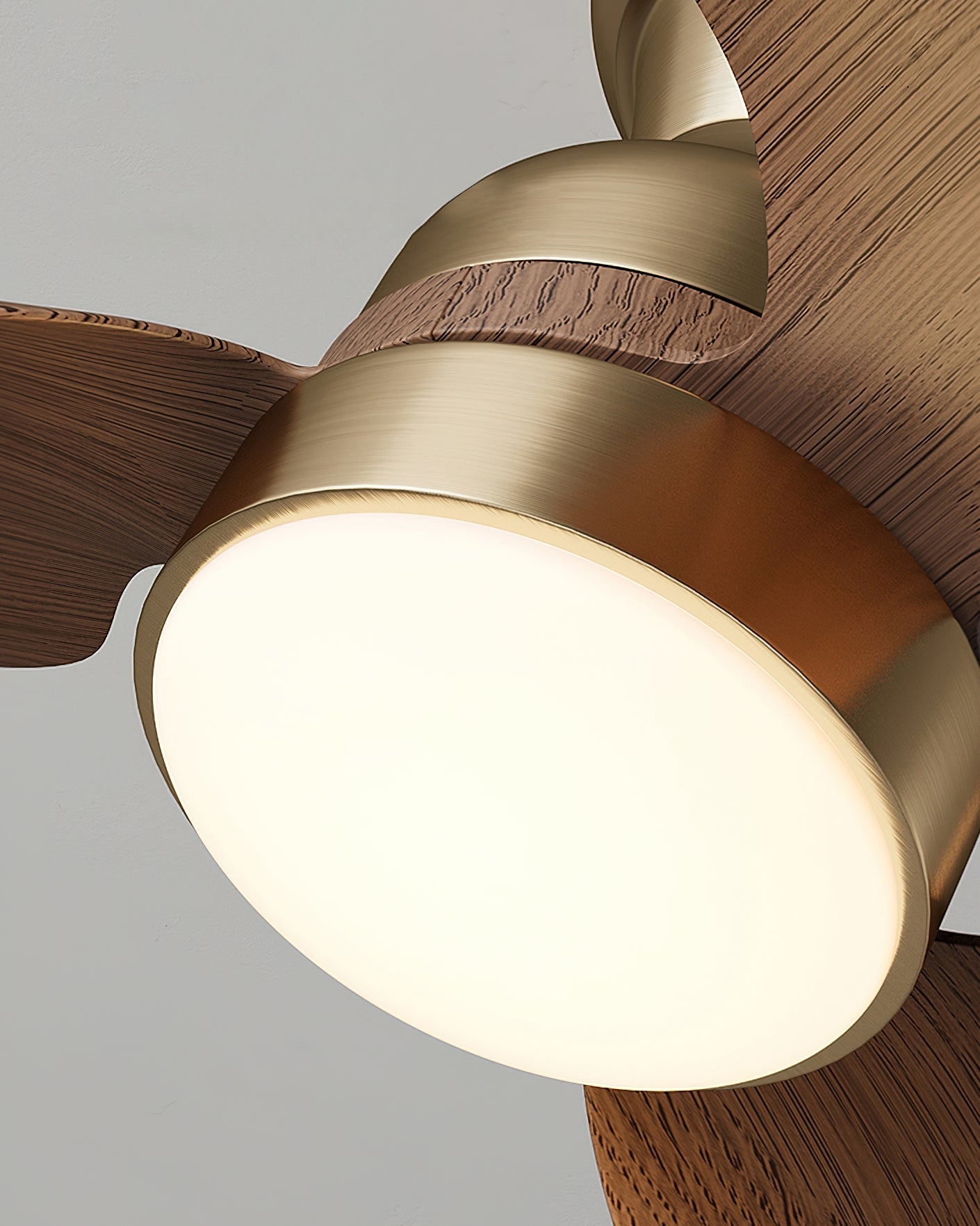 Haiku Ceiling Fan Light