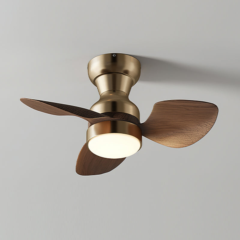 Haiku Ceiling Fan Light
