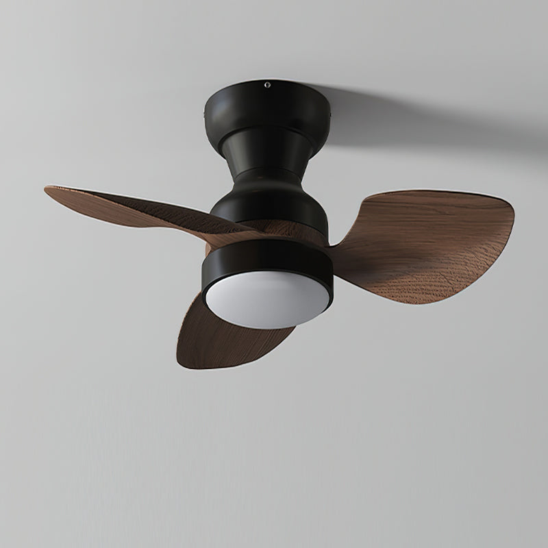 Haiku Ceiling Fan Light