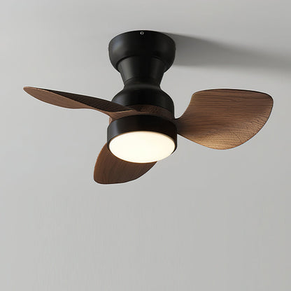 Haiku Ceiling Fan Light