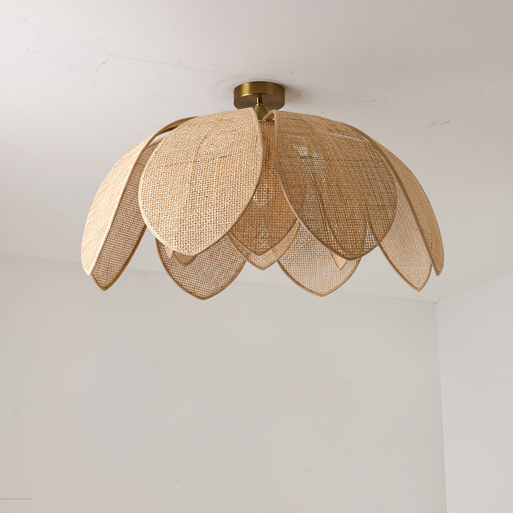 Hanove Ceiling Light