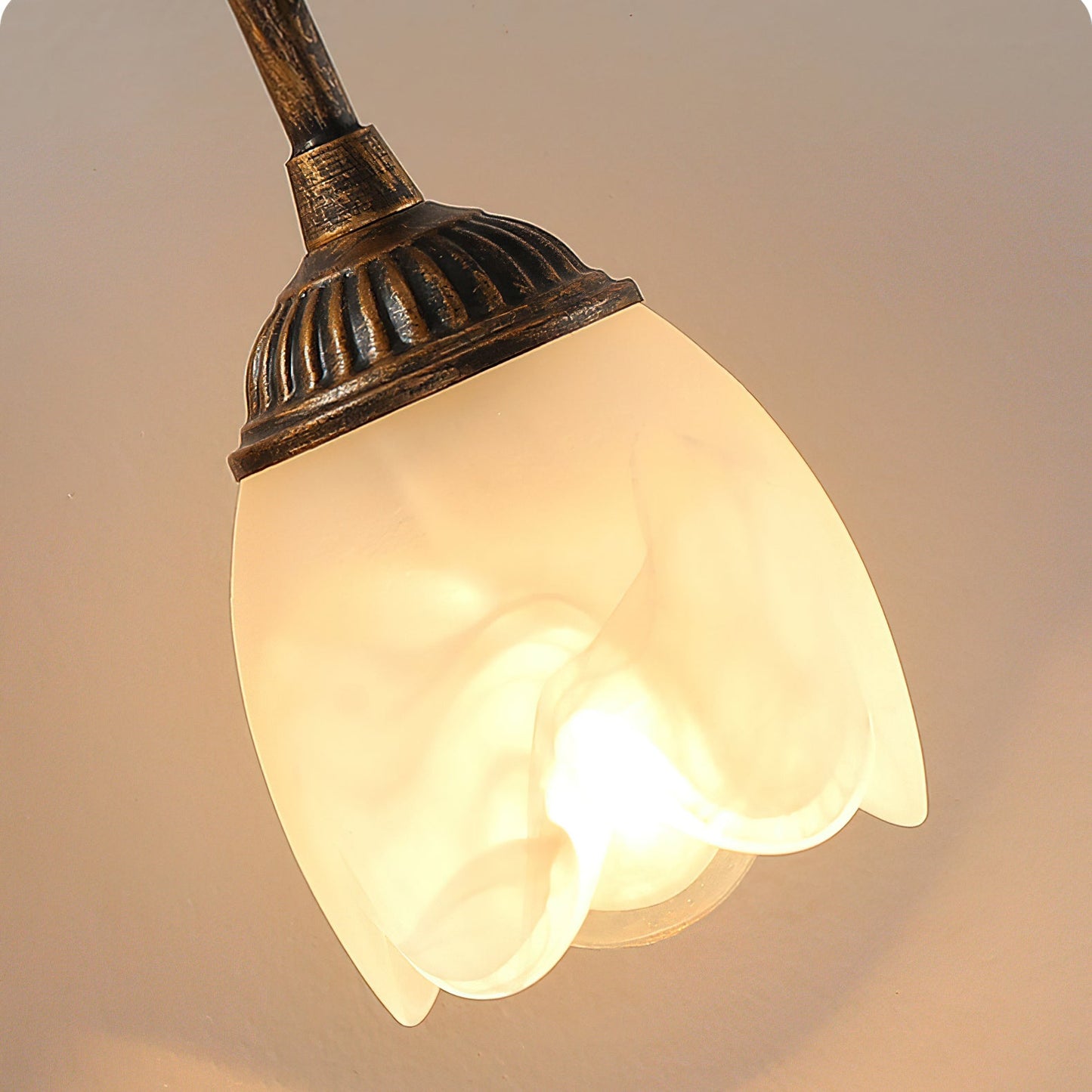 Jasmine Wall Light