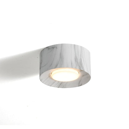 Loris Ceiling Light