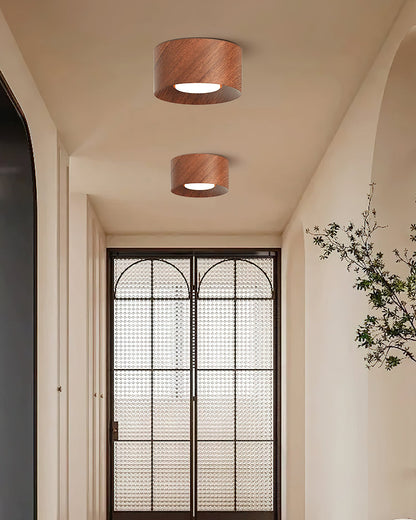 Loris Ceiling Light