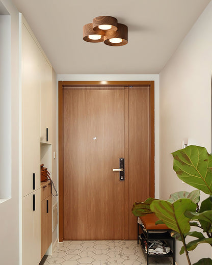 Loris Ceiling Light