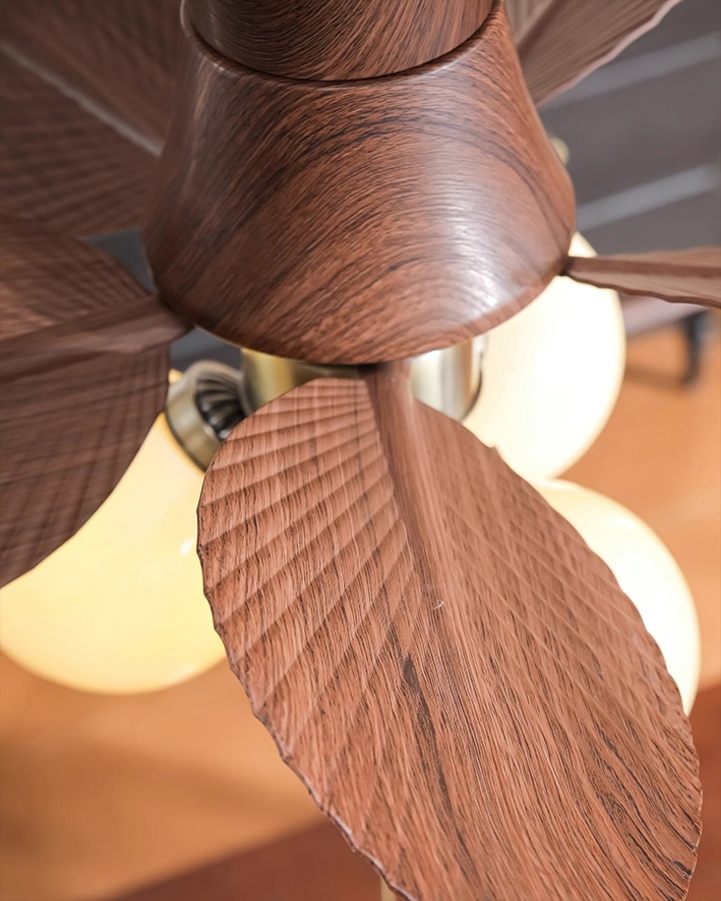 Malibu Ceiling Fan Light