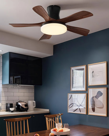 Minka Ceiling Fan Light
