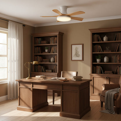 Minka Ceiling Fan Light