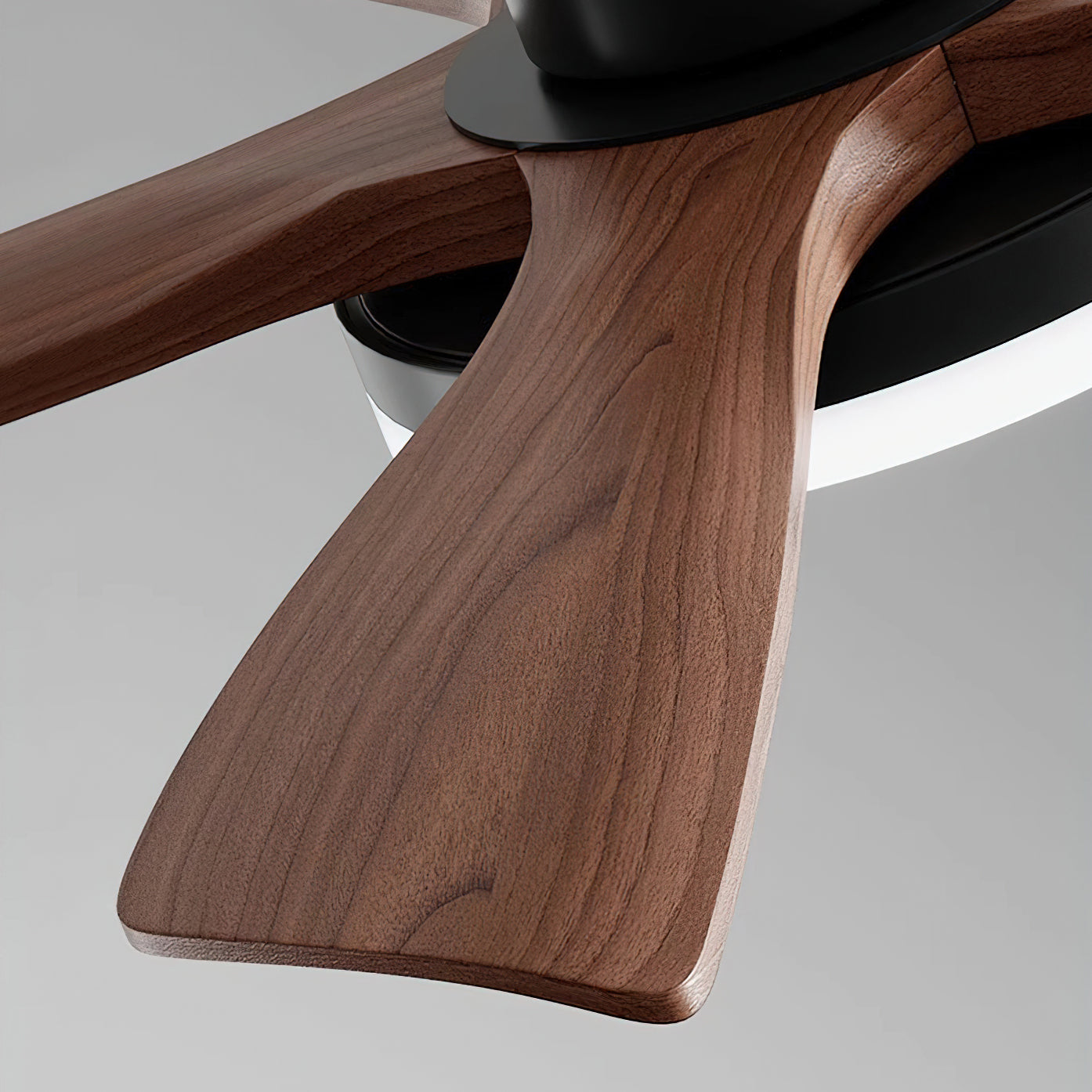 Minka Ceiling Fan Light