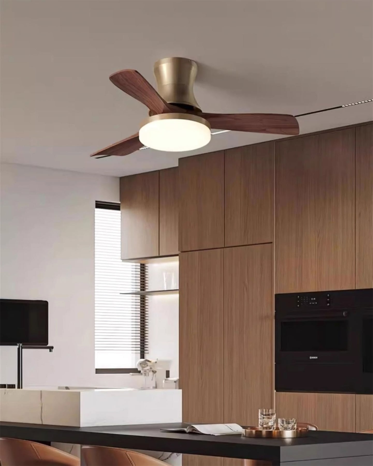 Minka Ceiling Fan Light