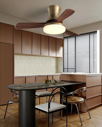 Minka Ceiling Fan Light