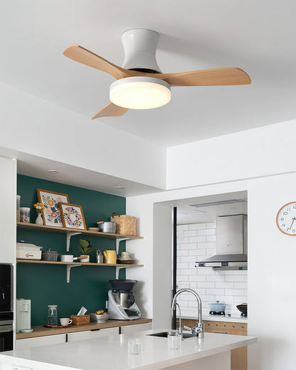 Minka Ceiling Fan Light