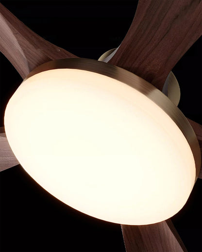 Minka Ceiling Fan Light