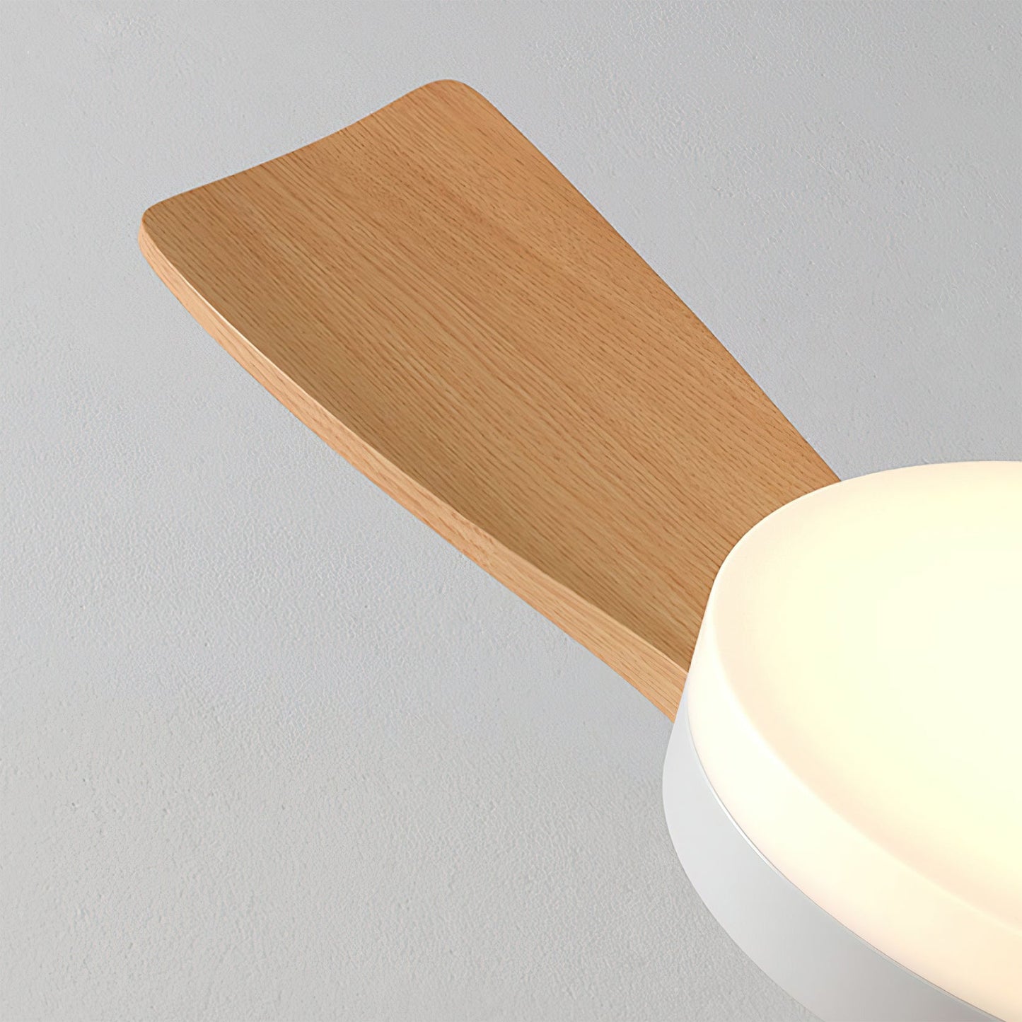 Minka Ceiling Fan Light