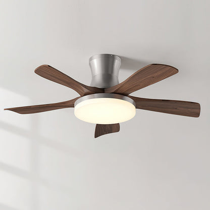 Minka Ceiling Fan Light