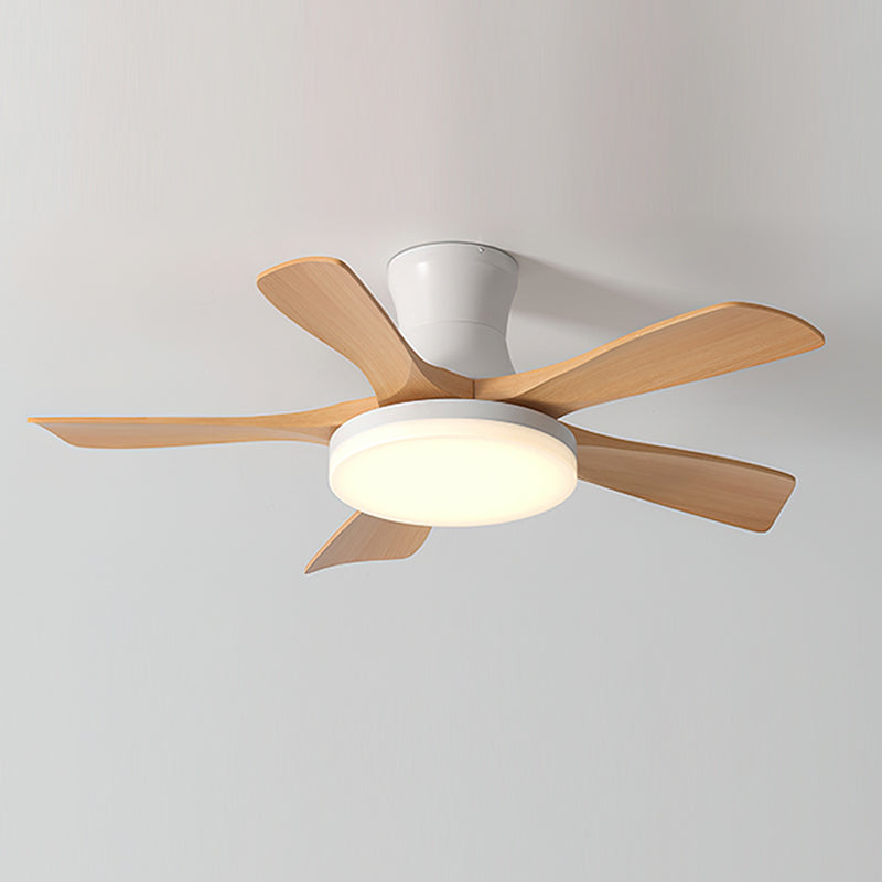 Minka Ceiling Fan Light