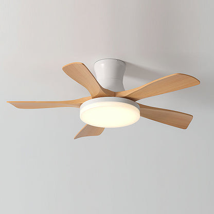 Minka Ceiling Fan Light