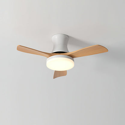 Minka Ceiling Fan Light