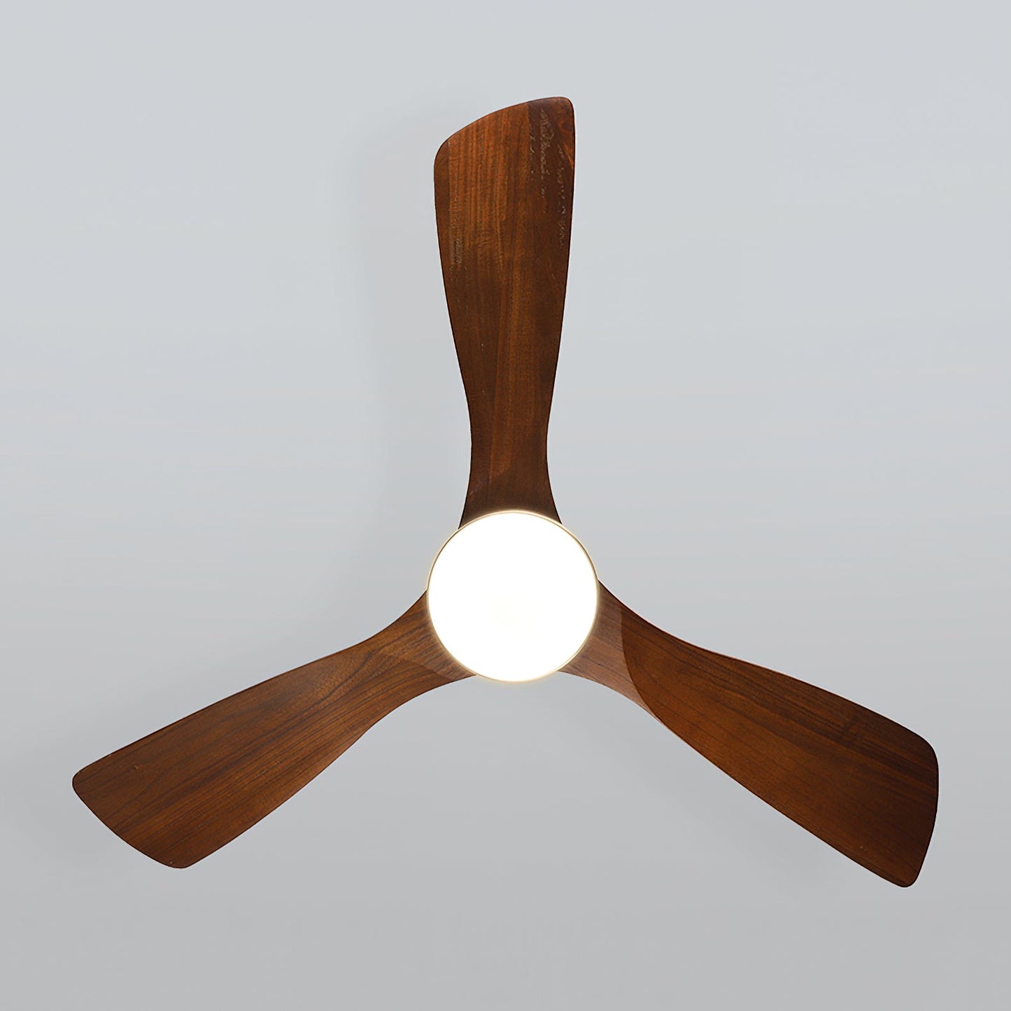 Orren Ceiling Fan Light