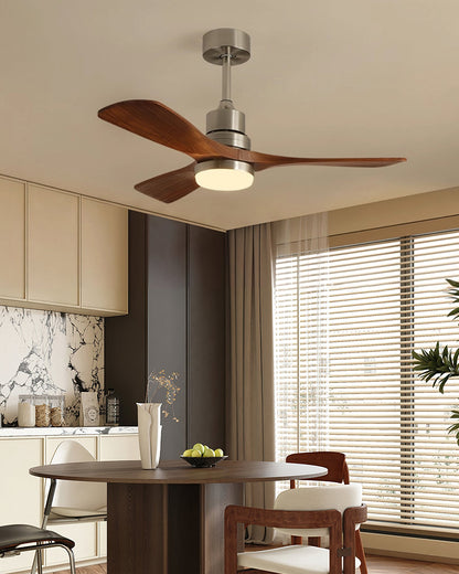 Orren Ceiling Fan Light