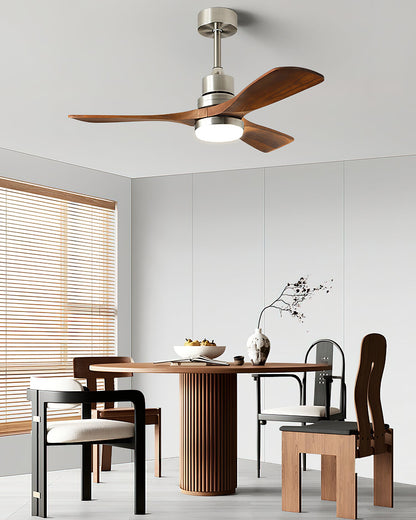 Orren Ceiling Fan Light