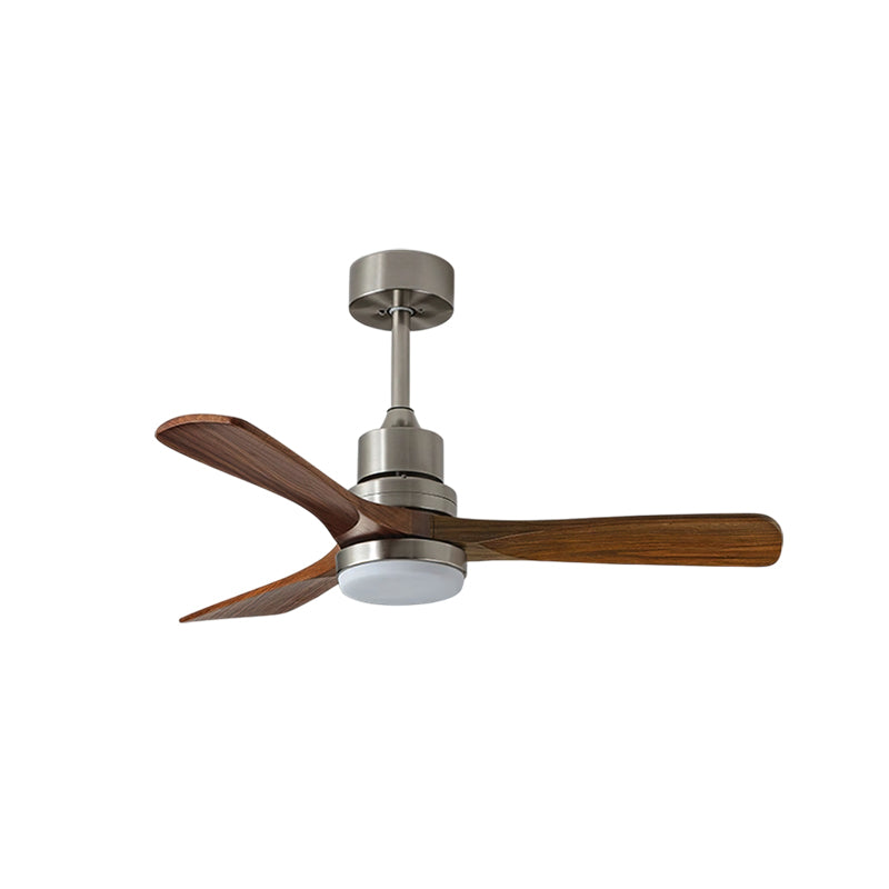 Orren Ceiling Fan Light