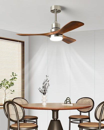 Orren Ceiling Fan Light