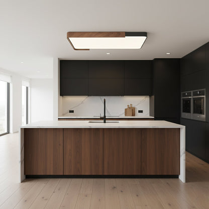 Orren Ceiling Light