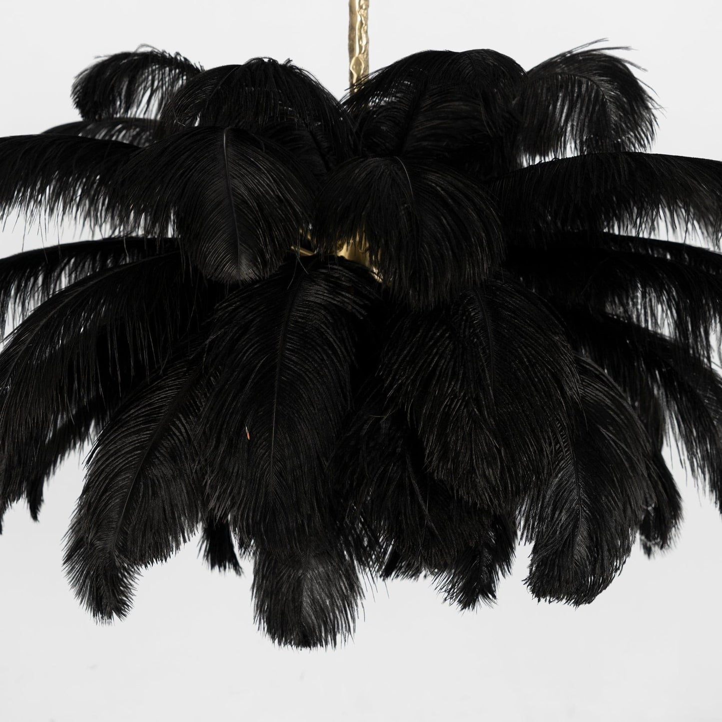 Ostrich Feather Chandeliers