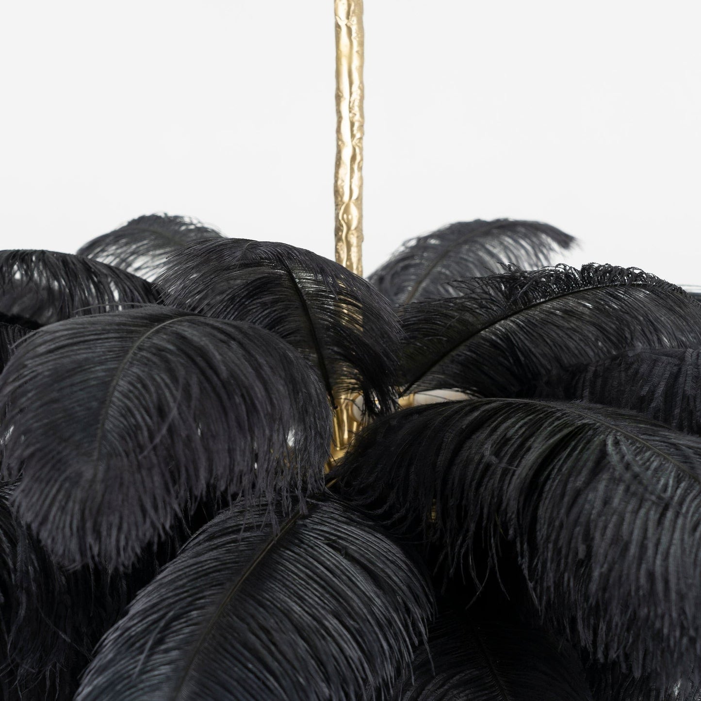 Ostrich Feather Chandeliers
