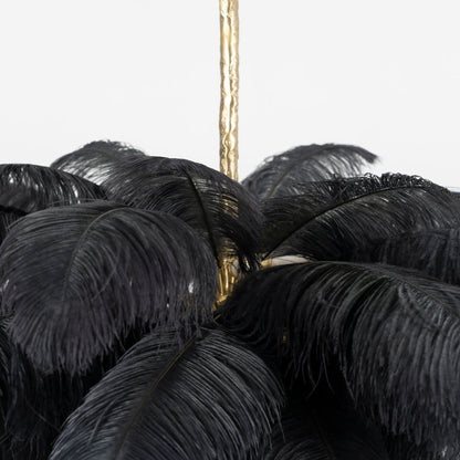Ostrich Feather Chandeliers