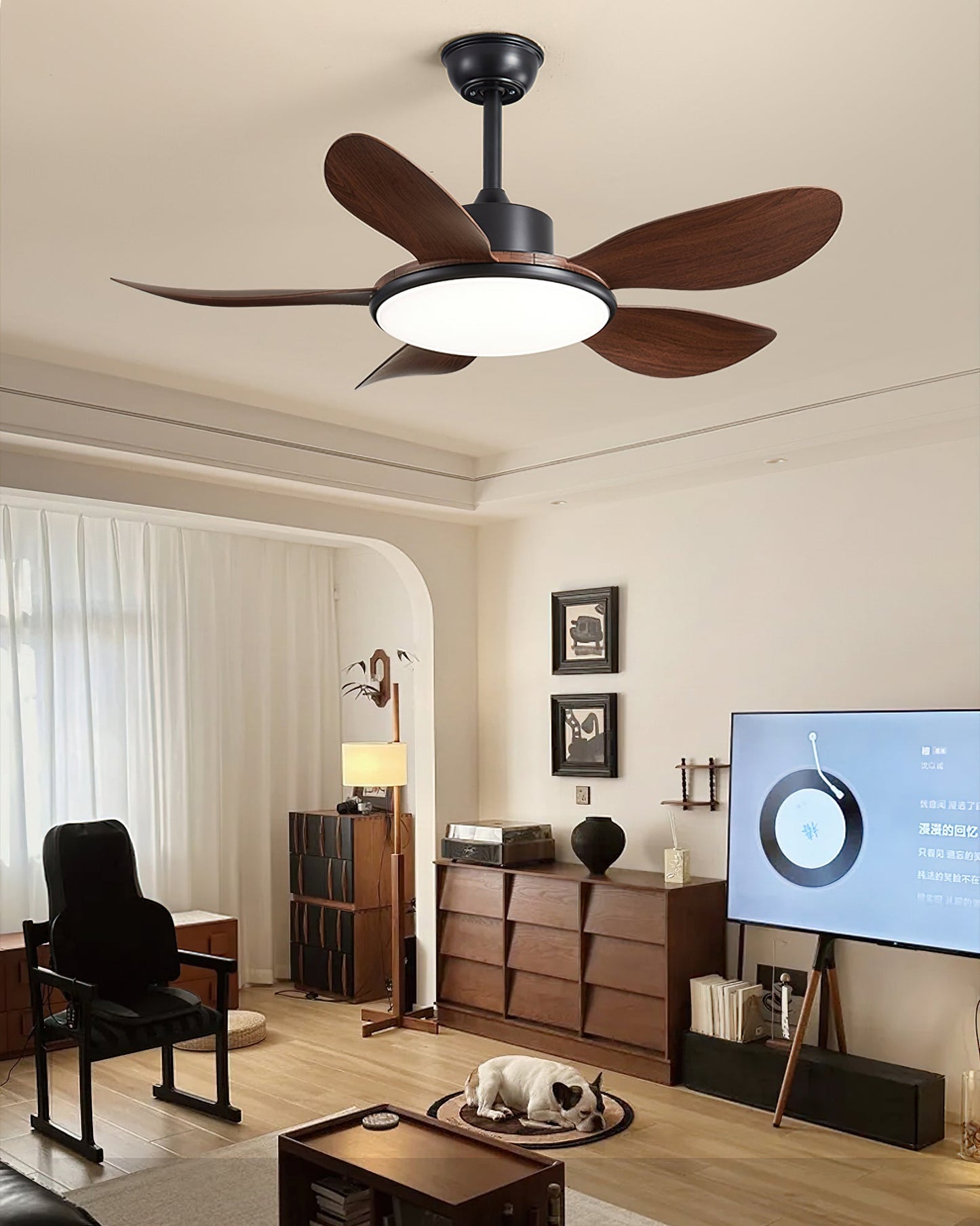 Ovlaim Ceiling Fan Light