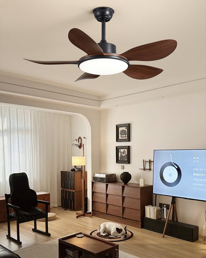 Ovlaim Ceiling Fan Light