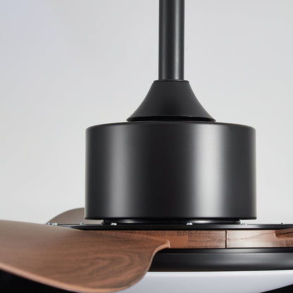 Ovlaim Ceiling Fan Light