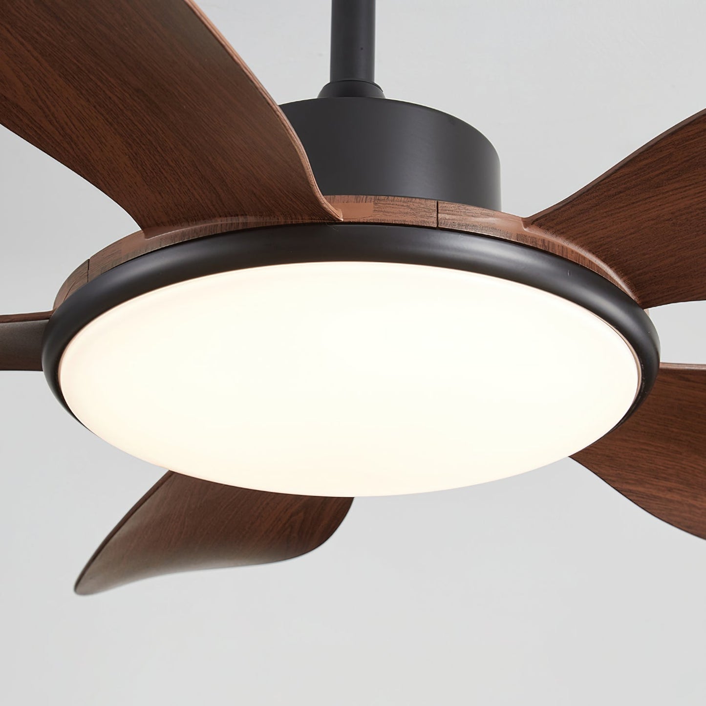 Ovlaim Ceiling Fan Light