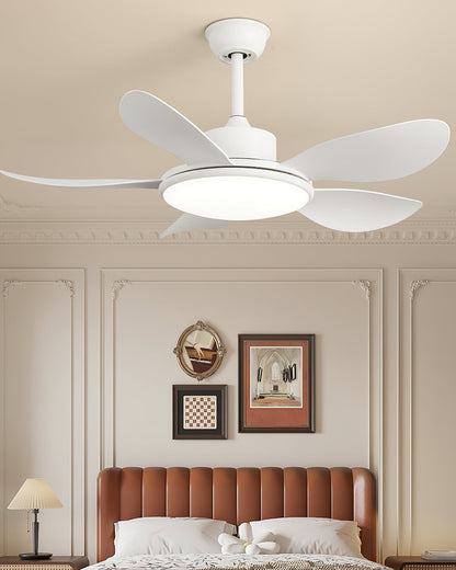 Ovlaim Ceiling Fan Light