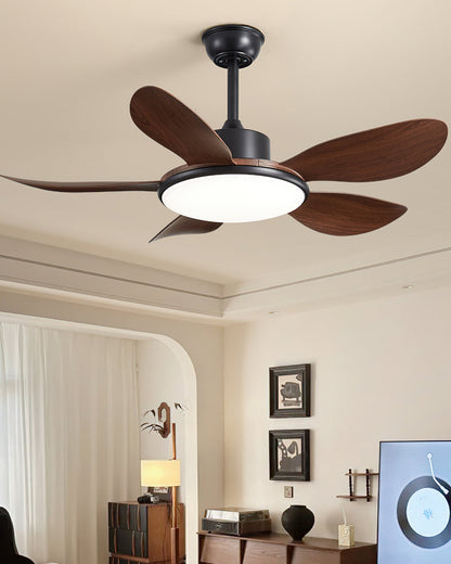 Ovlaim Ceiling Fan Light