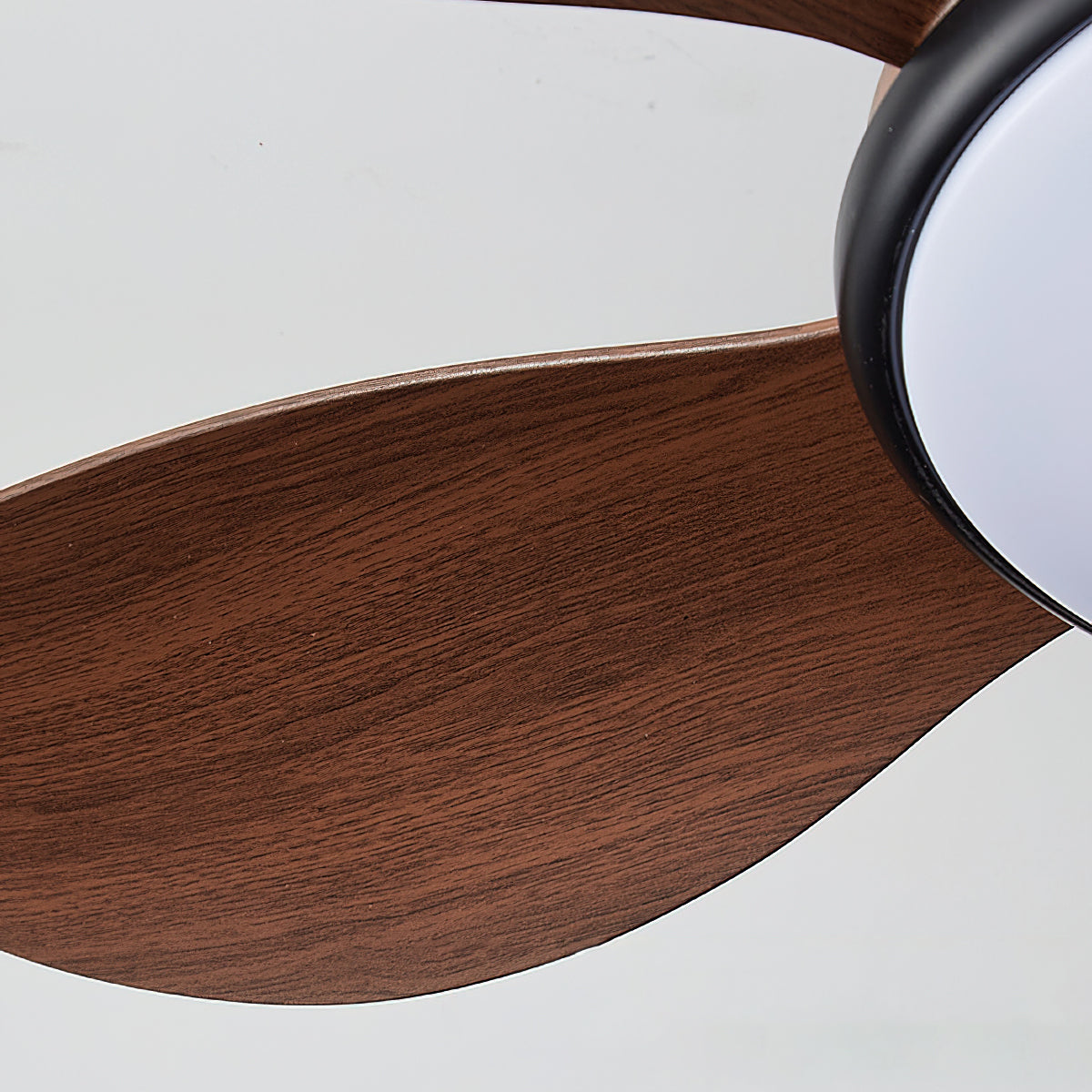 Ovlaim Ceiling Fan Light