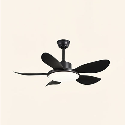 Ovlaim Ceiling Fan Light