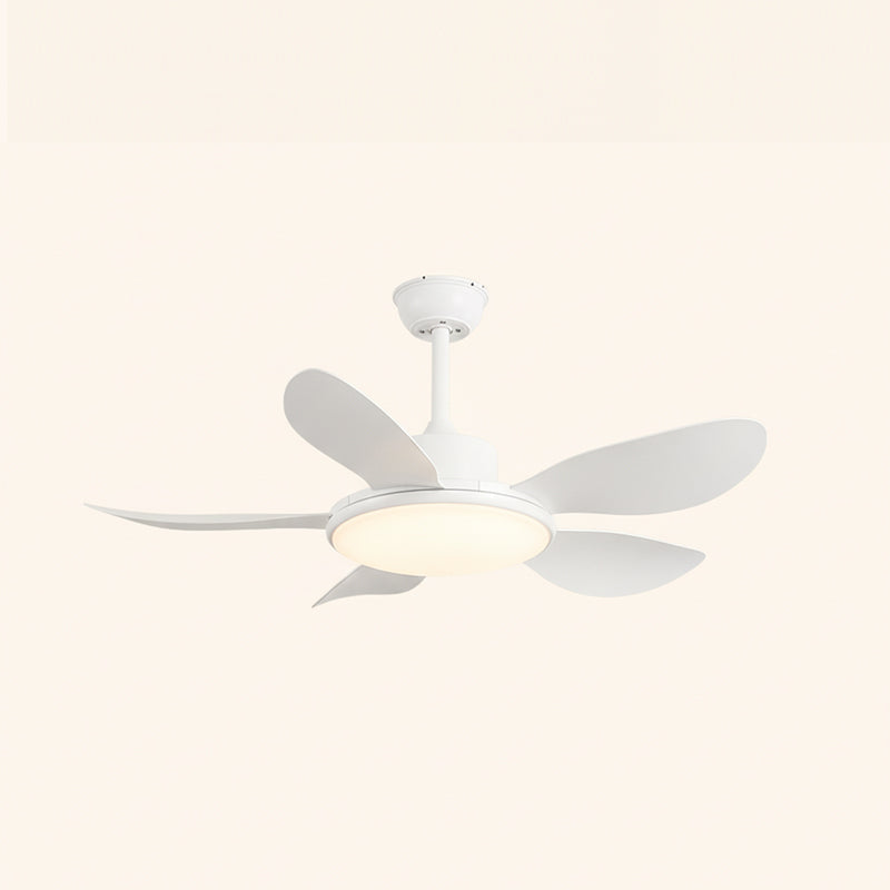 Ovlaim Ceiling Fan Light