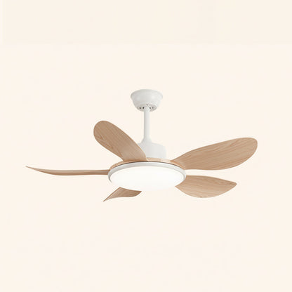 Ovlaim Ceiling Fan Light