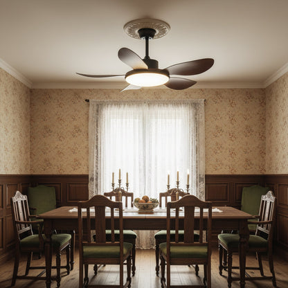 Ovlaim Ceiling Fan Light