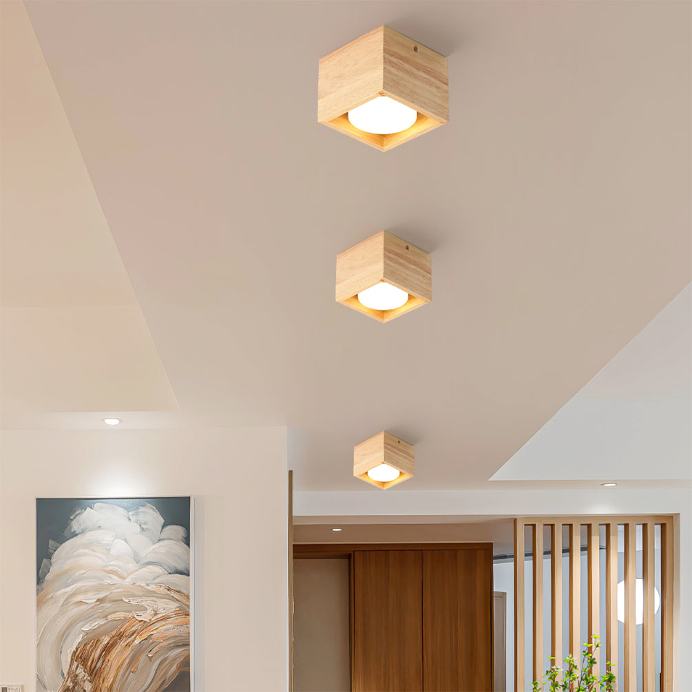 Ozawa Ceiling Lamp