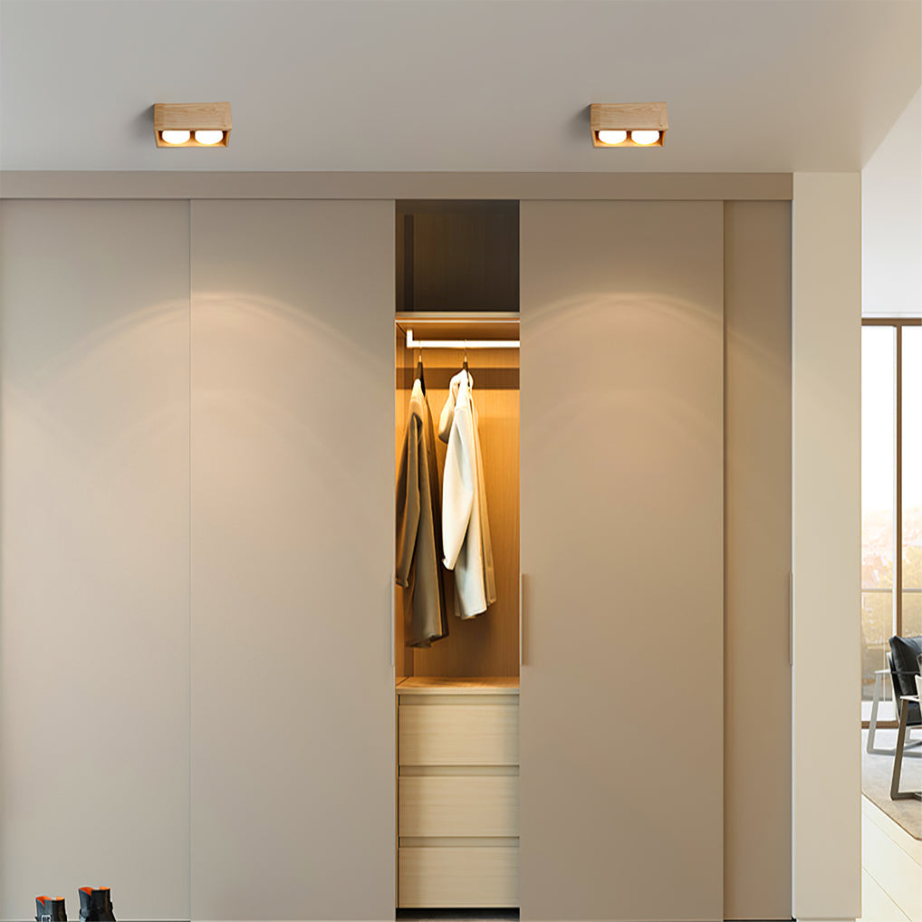 Ozawa Ceiling Lamp