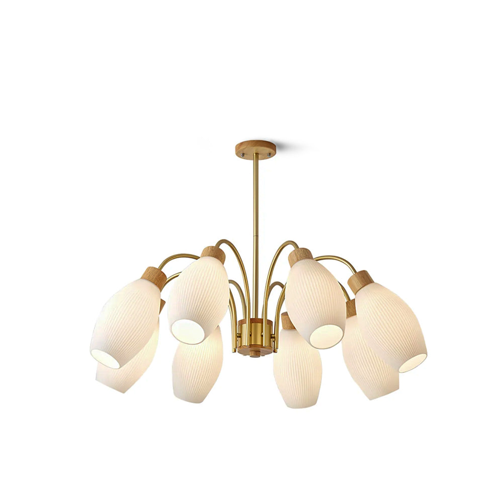 Petaluma Chandelier