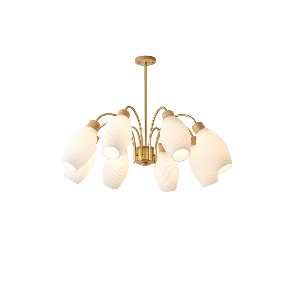 Petaluma Chandelier